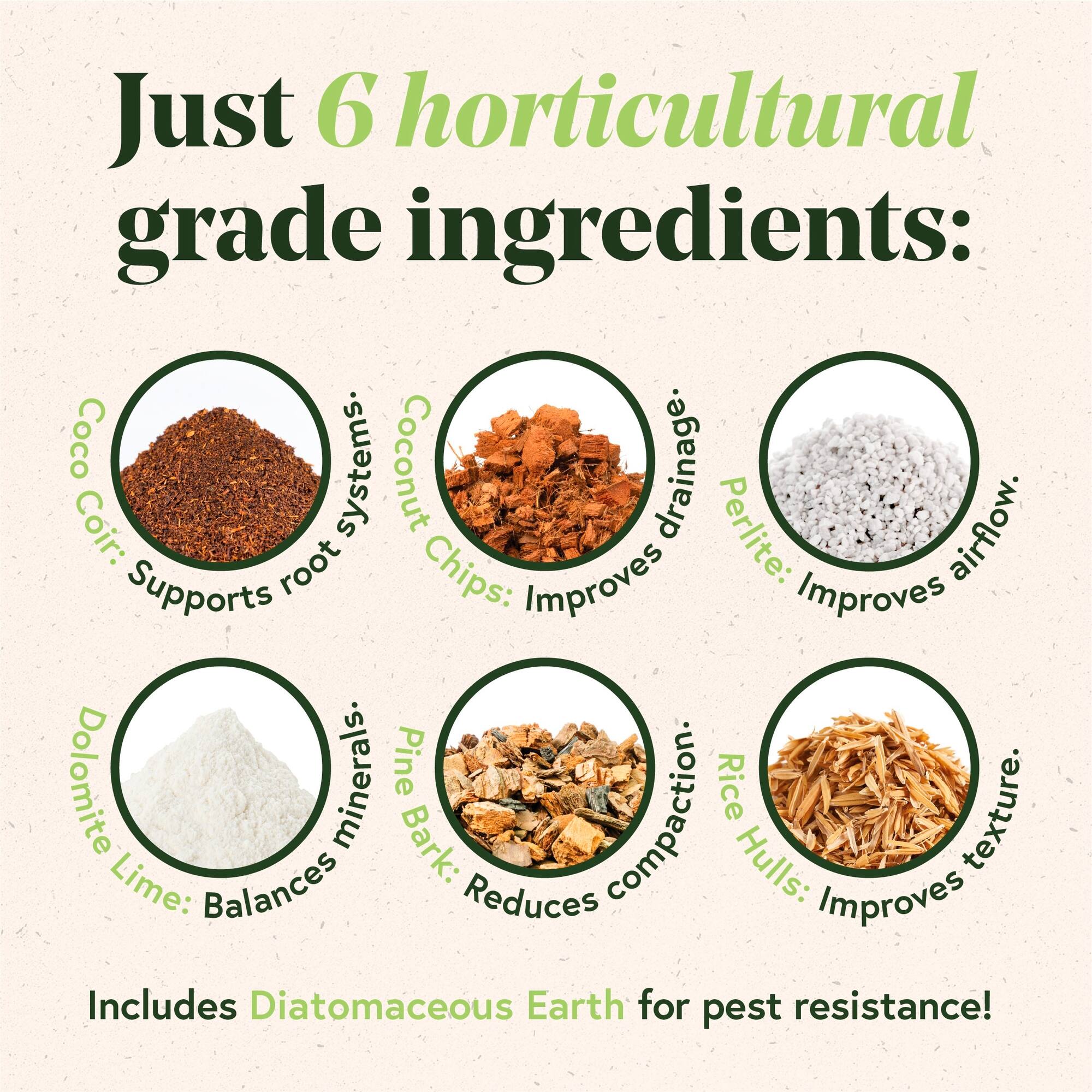 We The Wild™ 6qt. Just Great Soil Premium Organic Gnat-Resistant Potting Mix for Houseplants